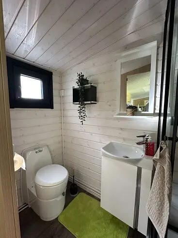 Kleines Bad in der Lapelland-Saunawelt: weiße Holzvertäfelung, WC, Kompaktwaschbecken, Spiegel, Pflanze, grüner Teppich.